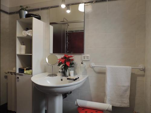 a bathroom with a sink and a mirror at B&B il rosso e il nero in Zafferana Etnea