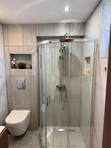 a bathroom with a shower and a toilet at Afandou Panorama Apartment in Afantou