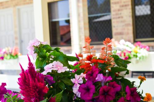 a bouquet of colorful flowers in front of a building at Golden Beach Motor Inn, Caloundra in Caloundra