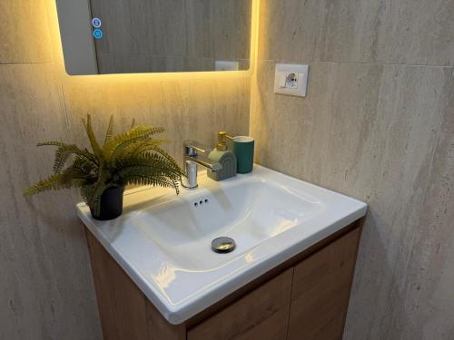 a bathroom sink with a potted plant and a mirror at Loris Rooms in Yrshek