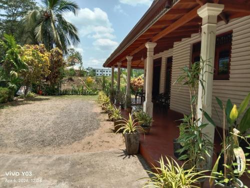 a porch of a house with plants on it at New Olina Gest and Restaurant in Wellawaya