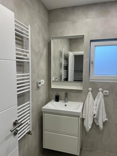 a bathroom with a sink and a mirror at Apartman Lea in Sibinj