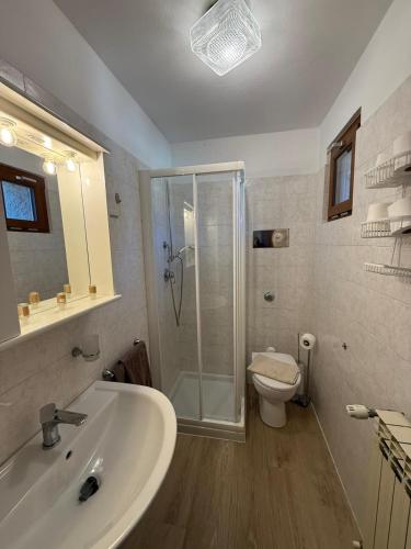 a bathroom with a shower and a sink and a toilet at La Rotonda apartments by Gardadomusmea in Tremosine Sul Garda