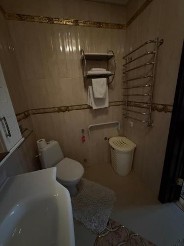 a small bathroom with a toilet and a sink at Luxury Apartaments 3 in Truskavets