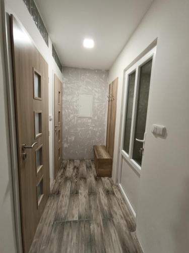 a hallway with a door and a wooden floor at Apartmán U Tří Palem in Břeclav