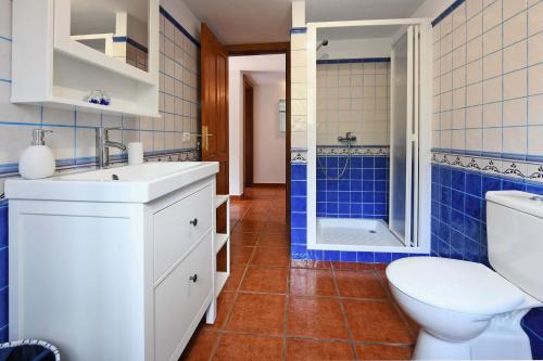 a bathroom with a toilet and a sink and a shower at Casa La Castellana in Tijarafe