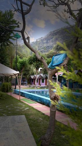 a tree in front of a swimming pool at Hills Queen Resort And Camping in Mohan Chatti