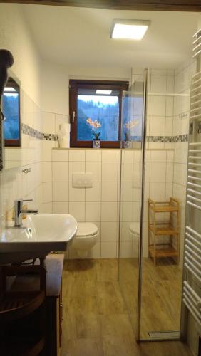 a bathroom with a sink and a toilet and a window at Otto`s Ferienwohnung in Biedenkopf
