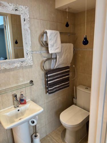 a bathroom with a toilet and a sink and a mirror at Aigua Blava in Carbis Bay