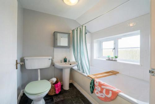 a bathroom with a toilet and a sink and a window at New Forest Flat Steps from Brockenhurst Station, Sleeps 4 in Brockenhurst