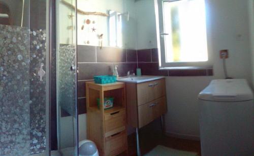 a bathroom with a shower and a sink and a toilet at Le soleil in Chabanais