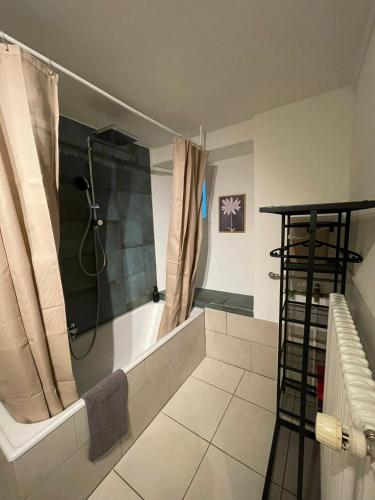 a bathroom with a shower with a shower curtain at vitalpha lodge - house in Glarus