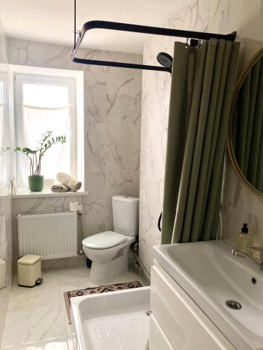 a bathroom with a toilet and a sink at OM East in Aizpute