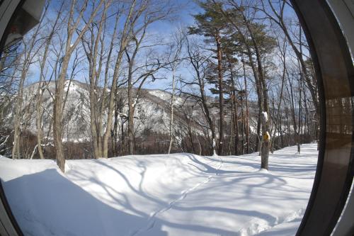 a view from a window of a snow covered forest at Panketo Lodge & Yoga Studio in Hakuba