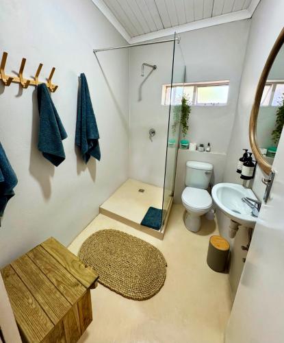 a bathroom with a shower and a toilet and a sink at Toorwater Spa in Uniondale