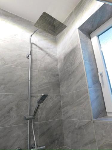 a shower with a glass door in a bathroom at Cetinjska apartment in Belgrade