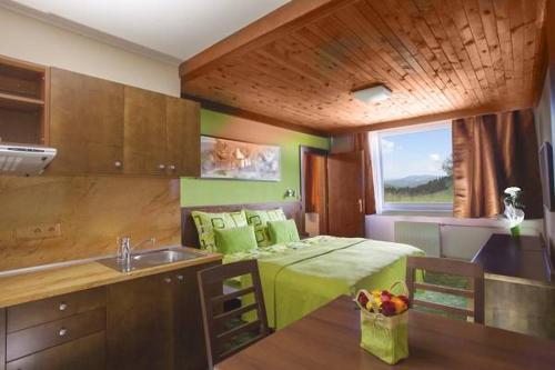 派克波特斯耐茲庫的住宿－特萊夫堡迪酒店，一间厨房,在房间内配有一张床