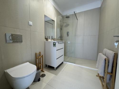 a bathroom with a toilet and a shower at Stayin Arrifes I C in Funchal