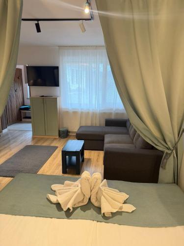a living room with two pairs of shoes on the floor at Relax House in Praid