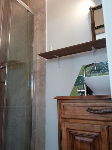 a bathroom with a shower and a sink and a counter at studio dans les arbres in Saint-Paulet-de-Caisson