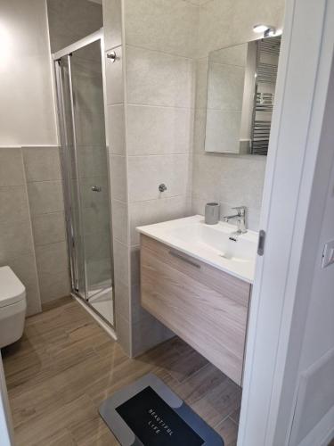 a bathroom with a sink and a shower and a mirror at BINARIO 16- new loft in Marone
