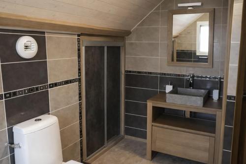 a bathroom with a toilet and a sink at Villa MYRTILLE classée 4 étoiles meublé de tourisme - Vue montagne, terrasse, jardin, 8 pers in Murat-le-Quaire
