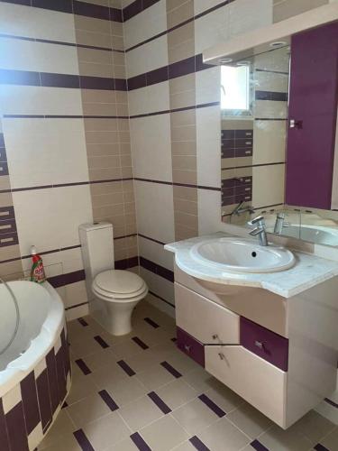 a bathroom with a sink and a toilet and a tub at Dar Tozeur in El Oudiane-Degache