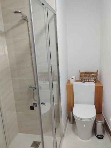 a bathroom with a toilet and a shower at Pensión 813 in Palas de Rei