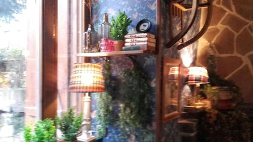 a room with a window with two lamps and plants at Hotel Boutique Balaitus in Sallent de Gállego