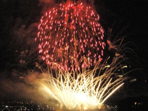 a bunch of fireworks exploding in the sky at night at English Bay Hotel in Vancouver