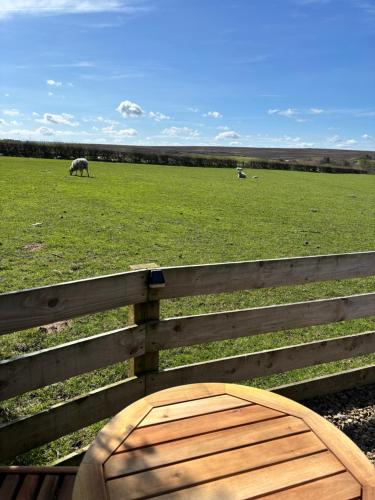 Cow Pasture Pod photo 10