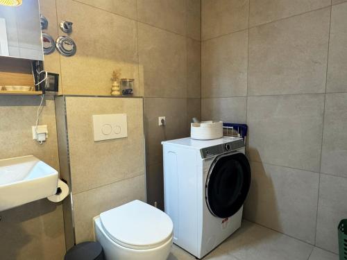 a bathroom with a washing machine and a toilet at MurgLoge Gaggenau in Gaggenau