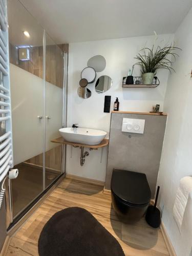 a bathroom with a shower and a toilet and a sink at Tiny Haus in Rastederberg