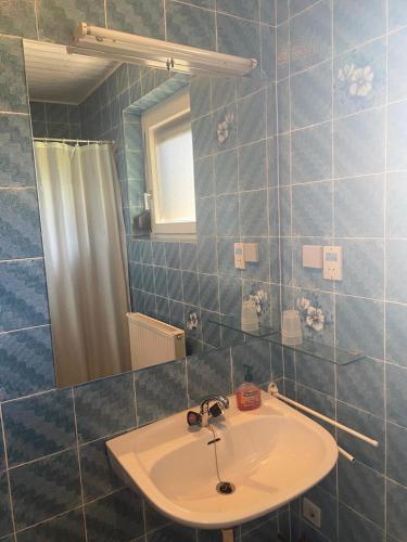 a bathroom with a sink and a mirror at Haus Christof in Ledenitzen