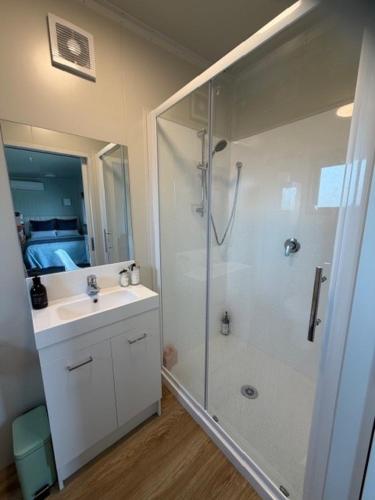 a bathroom with a shower and a sink at Benrose Stables Cottage in Palmerston North