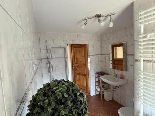 a bathroom with a toilet and a sink and a plant at Ferienhaus Rennsteigblick in Eisfeld