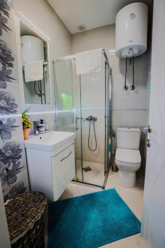 a bathroom with a shower and a toilet and a sink at Apartman Lena lux in Vrnjačka Banja