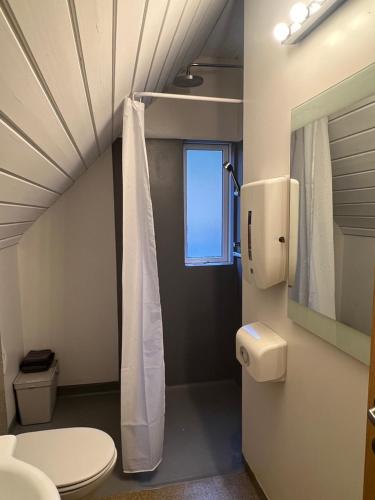 a bathroom with a toilet and a window at Skyrhusid Guesthouse in Hali