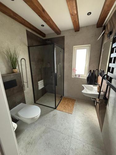a bathroom with a toilet and a shower and a sink at Samson Park Noclegi in Stacja Dlugi Kat