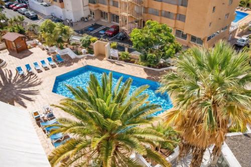 an overhead view of a swimming pool with palm trees at Ocean View Ponderosa 601 Costa Adeje Playa de las Americas in Costa de Adeje