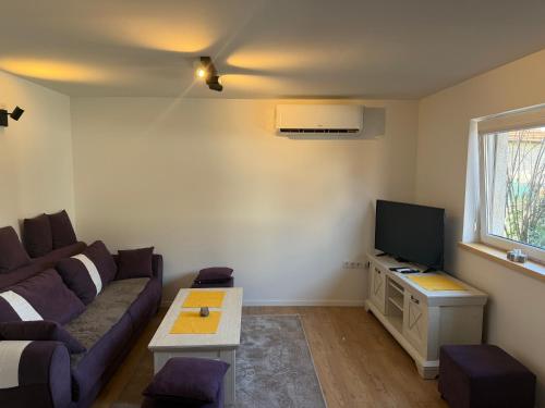 a living room with a couch and a tv at Travnik Nature in Travnik