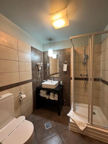a bathroom with a shower and a sink and a toilet at Hotel Arena in Târgu-Mureş