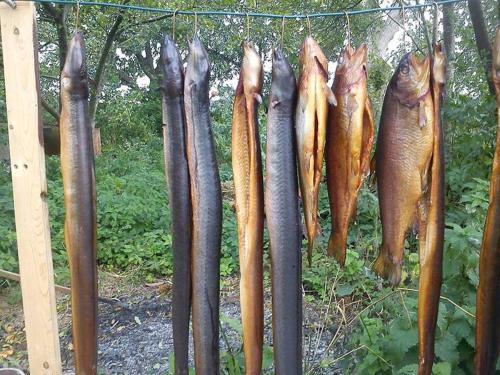 Gallery image of Ferienwohnung Sievers in Barlt