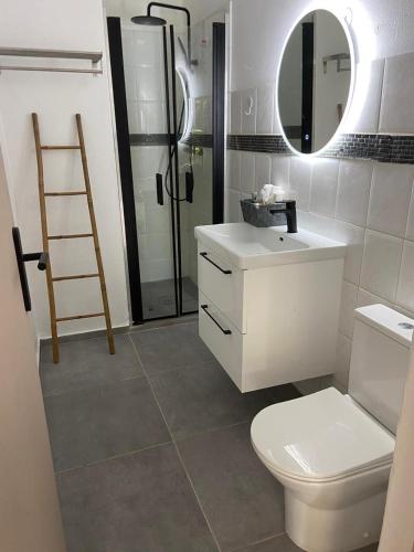 ein Badezimmer mit Toilette, Waschbecken und Spiegel in der Unterkunft Appartement l'Ecrin 2 in Saint-Claude