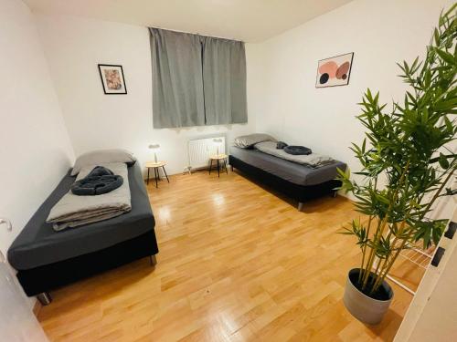 cozy apartment in Linz