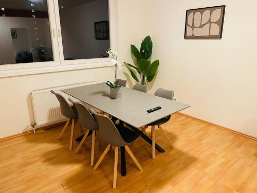 cozy apartment in Linz