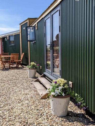 a green house with two potted plants in front of it at Unique Double Shepherd's Hut Hideaway - Pembrokeshire in Haverfordwest