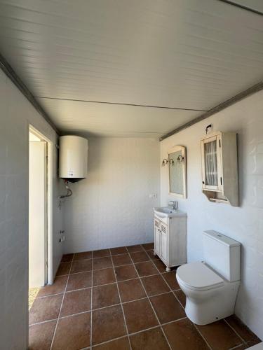 a bathroom with a toilet and a sink at El Palmito Rural Home in Jerez de la Frontera