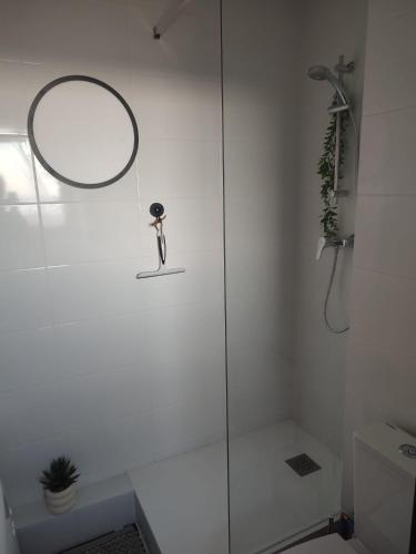 a bathroom with a shower with a mirror on the wall at Appt climatisé vues sur mer in Fleury