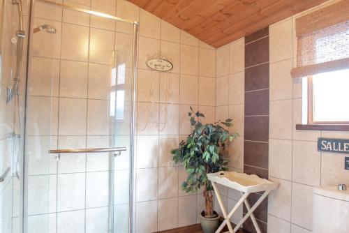 a bathroom with a shower and a plant in it at Bouscat Lodge - Still Rabbit - Hot Tub - Yorkshire in Selby